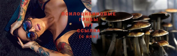 а пвп мука Баксан