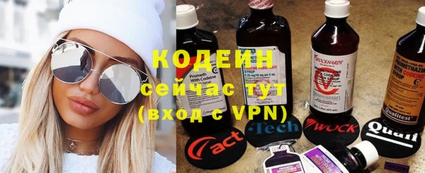 spice Няндома