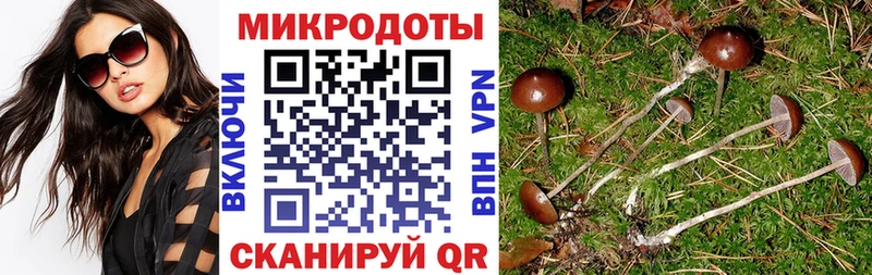 Галлюциногенные грибы Psilocybe  omg зеркало  Озёрск 